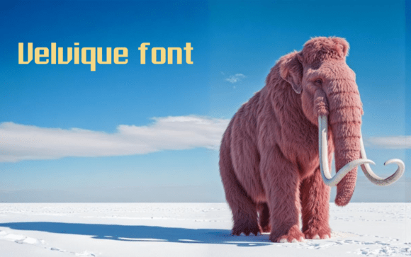 Velvique Font Review: Elevating Web Headers & Brand Identity